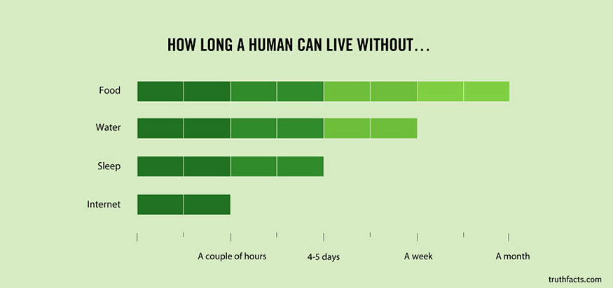 12 True Facts about Everyday Life