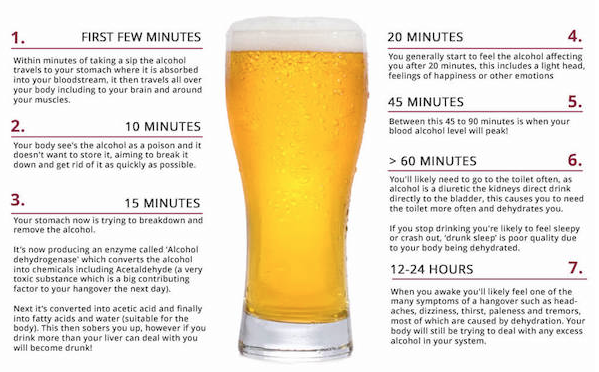 Infographic: What Happens In Your Body 24 Hours After Drinking A Beer?