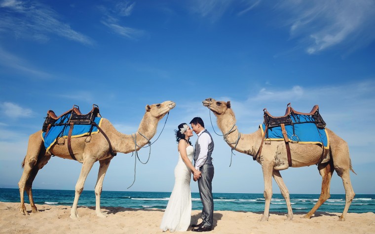 Which Pre-Wedding Destination best describes you?