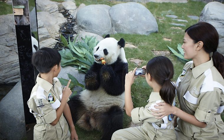 Ocean Park Launches Lovely Panda Month Starting in May Golden Week